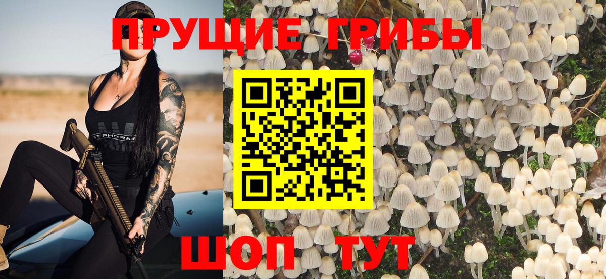 купить   Галлюциногенные грибы Cubensis  Дятьково  Вход с VPN  Псилоцибиновые грибы Psilocybine cubensis 